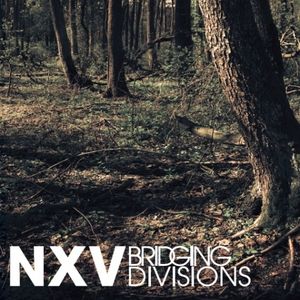 nxv - bridging divisions